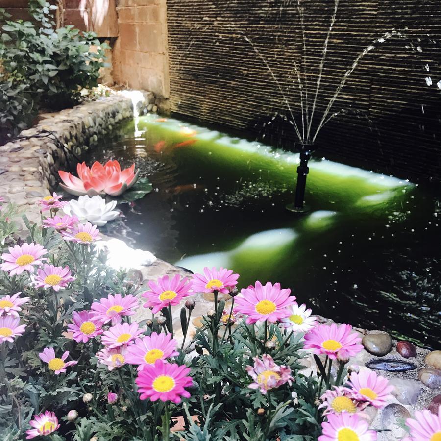 Lijiang Shui Lian Yi Boutique Inn Luaran gambar